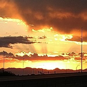 Meet your Posher, Tom